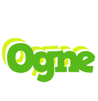 Ogne picnic logo