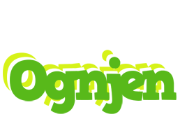 Ognjen picnic logo