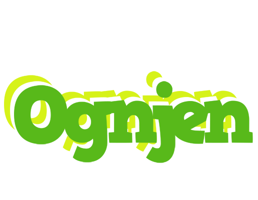 Ognjen picnic logo
