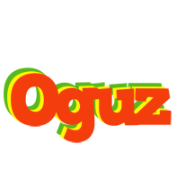 Oguz bbq logo