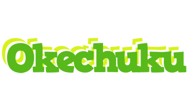 Okechuku picnic logo