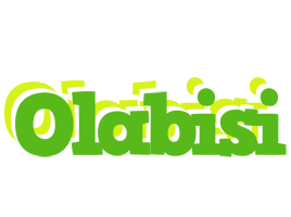 Olabisi picnic logo