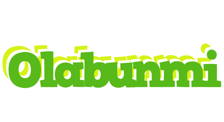 Olabunmi picnic logo