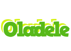 Oladele picnic logo