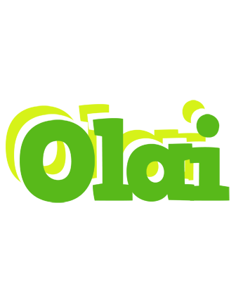 Olai picnic logo