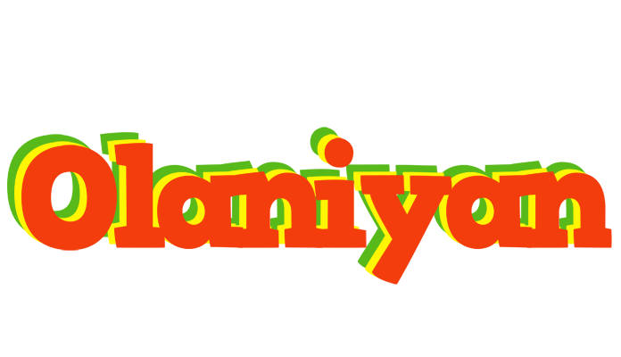 Olaniyan bbq logo