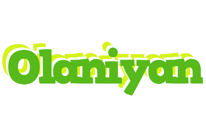Olaniyan picnic logo