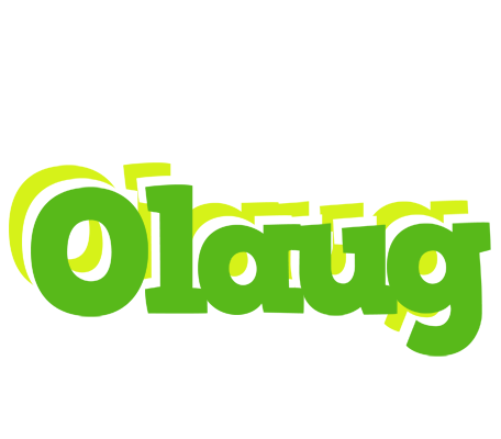 Olaug picnic logo