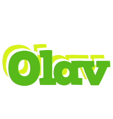Olav picnic logo