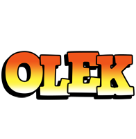 Olek sunset logo