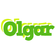 Olgar picnic logo