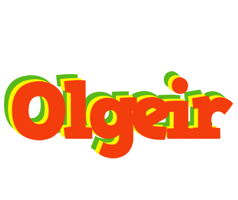 Olgeir bbq logo