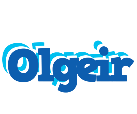 Olgeir business logo
