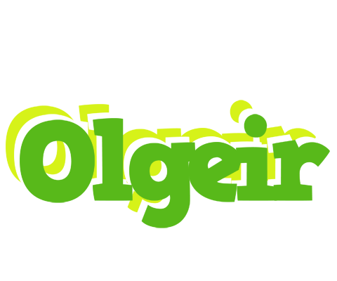 Olgeir picnic logo