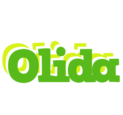 Olida picnic logo