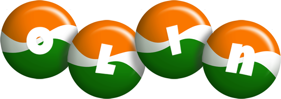 Olin india logo