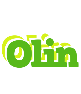 Olin picnic logo