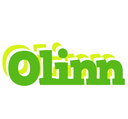 Olinn picnic logo