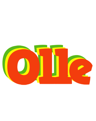 Olle bbq logo