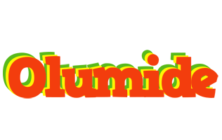 Olumide bbq logo