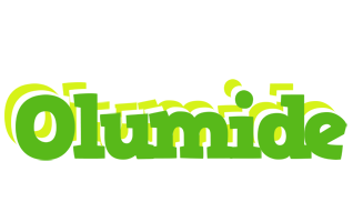 Olumide picnic logo