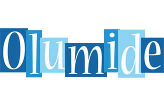 Olumide winter logo