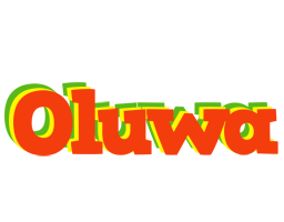 Oluwa bbq logo