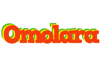 Omolara bbq logo