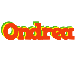 Ondrea bbq logo