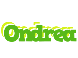 Ondrea picnic logo