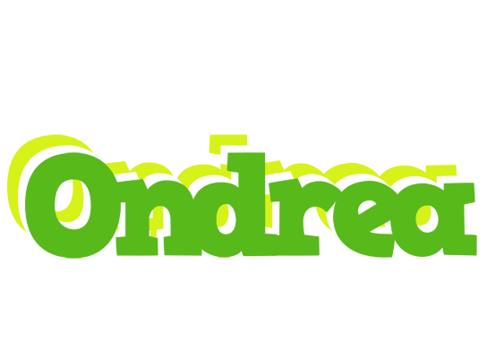 Ondrea picnic logo