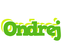 Ondrej picnic logo