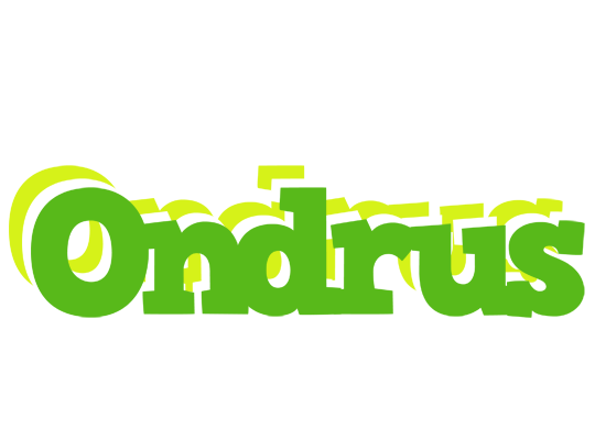 Ondrus picnic logo