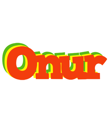 Onur bbq logo