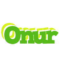 Onur picnic logo