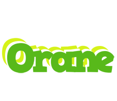 Orane picnic logo