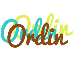 Ordin cupcake logo