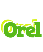 Orel picnic logo