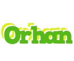 Orhan picnic logo