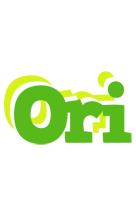 Ori picnic logo