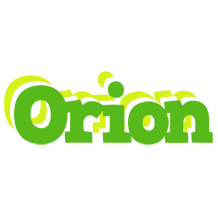 Orion picnic logo