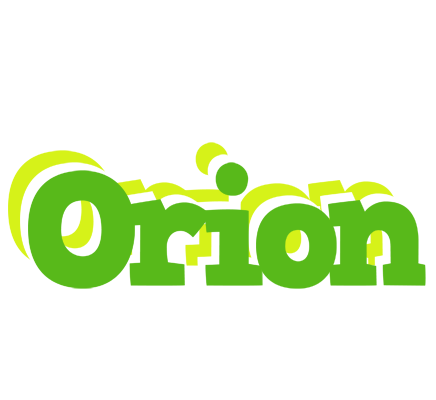 Orion picnic logo