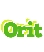 Orit picnic logo