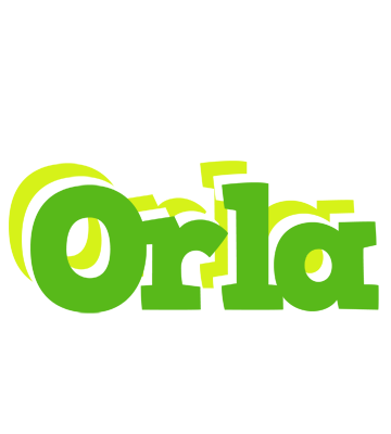Orla picnic logo
