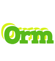 Orm picnic logo