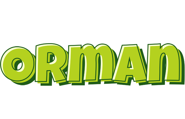 Orman summer logo
