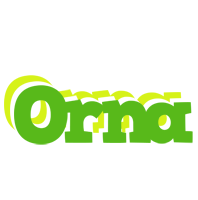 Orna picnic logo