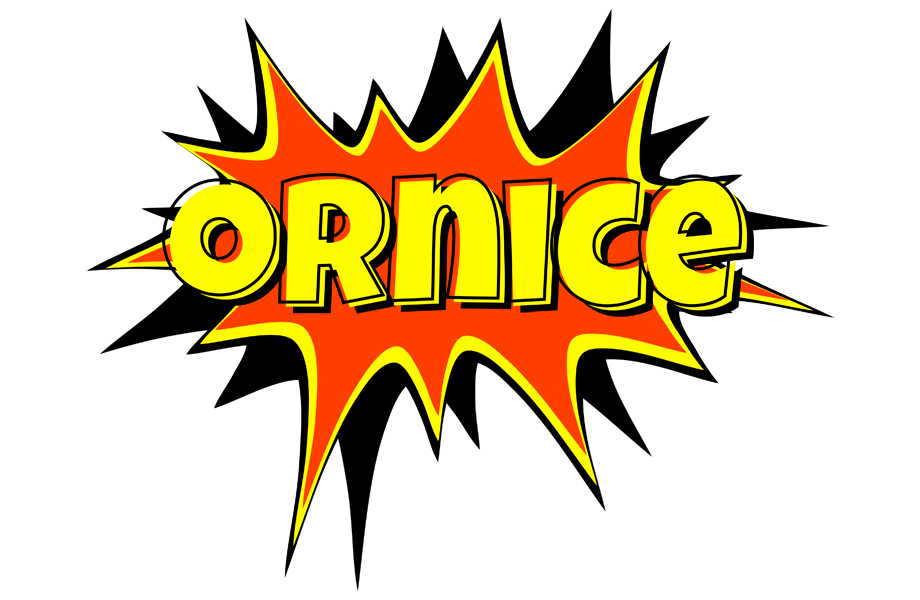 Ornice bazinga logo