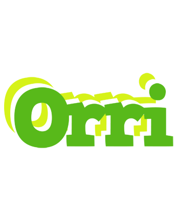 Orri picnic logo