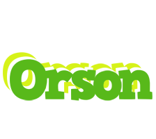 Orson picnic logo